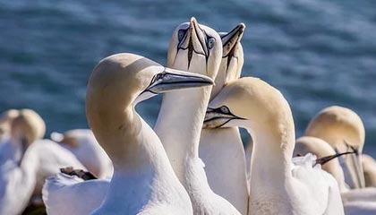 开云官方平台-李明爆发：28分8篮板5助攻，展现全能表现！，李明什么水平