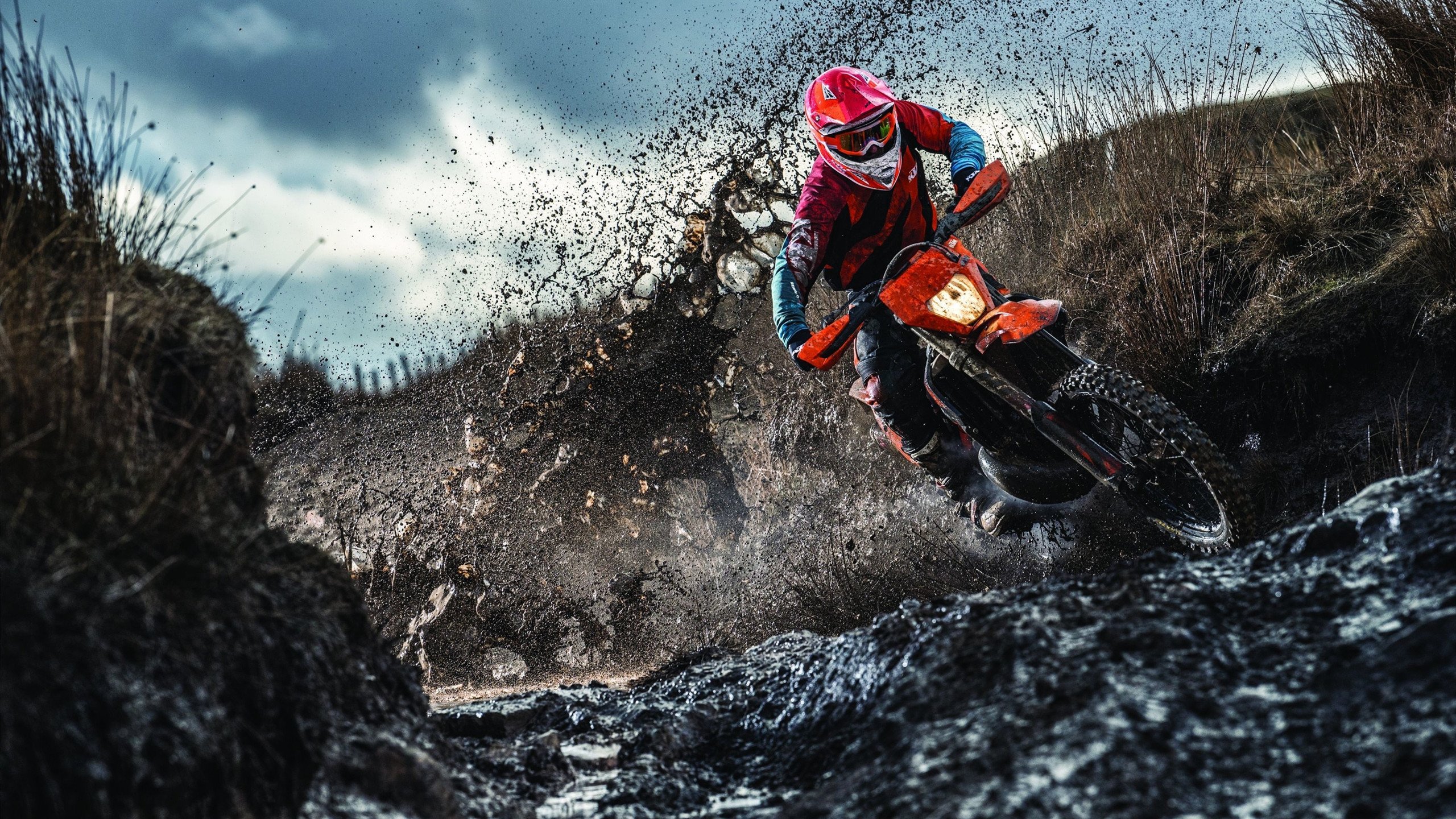 河床篮板球表现抢眼,河床队的主场叫什么