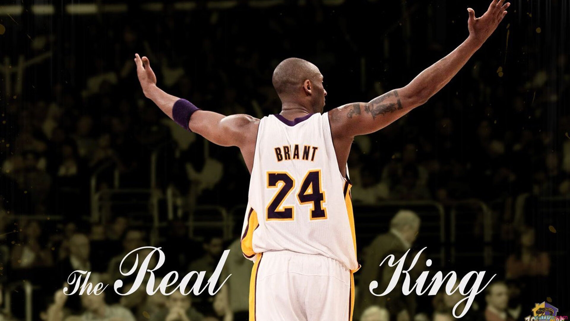 青少年篮球“成长计划”覆盖全国偏远地区，助力全民健身，青少年篮球规划